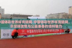 中国体彩世界杯竞猜网-中国体彩世界杯竞猜网，揭示足球激情与公益兼备的独特魅力