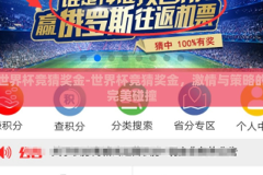 世界杯竞猜奖金-世界杯竞猜奖金，激情与策略的完美碰撞