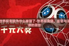世界杯竞猜为什么被禁了-世界杯竞猜，监管与法律的阴影