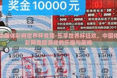 中国体彩网世界杯竞猜-乐享世界杯狂欢，中国体彩网竞猜游戏的乐趣与策略