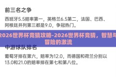 2026世界杯竞猜攻略-2026世界杯竞猜，智慧与冒险的激流