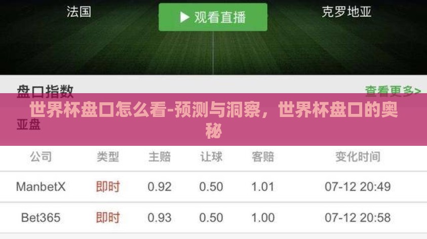 世界杯盘口怎么看-预测与洞察，世界杯盘口的奥秘