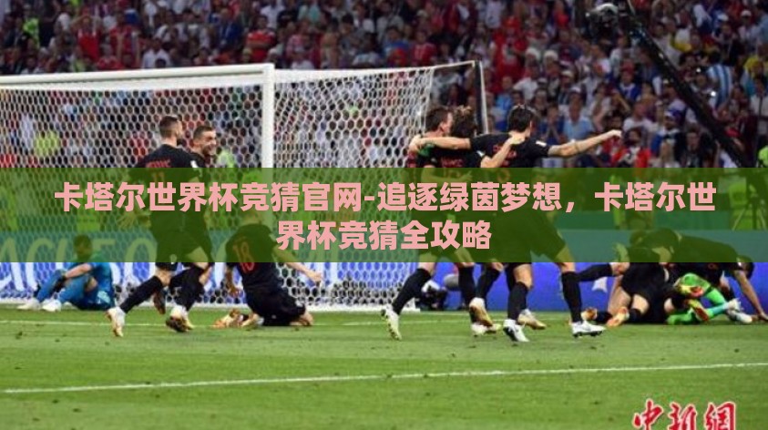 卡塔尔世界杯竞猜官网-追逐绿茵梦想，卡塔尔世界杯竞猜全攻略