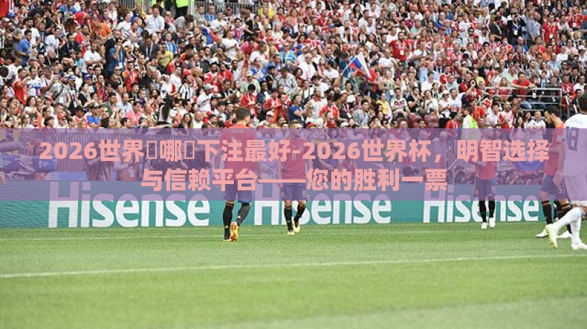 2026世界盃哪裡下注最好-2026世界杯，明智选择与信赖平台——您的胜利一票