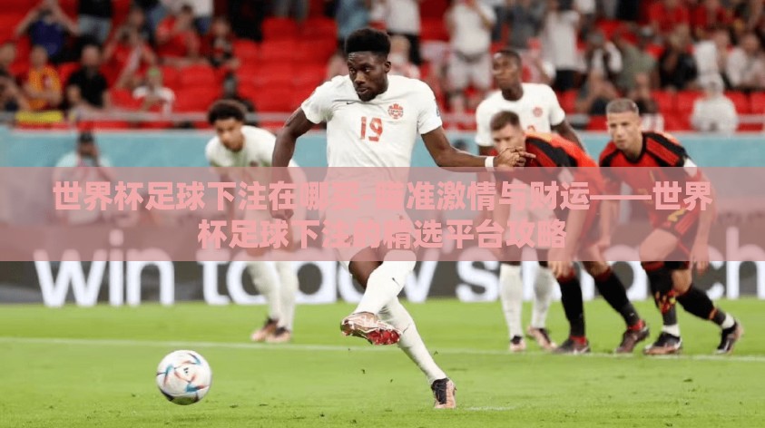 世界杯足球下注在哪买-瞄准激情与财运——世界杯足球下注的精选平台攻略