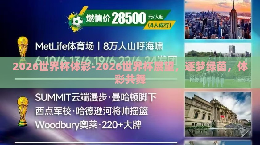 2026世界杯体彩-2026世界杯展望,逐梦绿茵,体彩共舞 2026世界杯体彩-2026世界杯展望,逐梦绿茵,体彩共舞