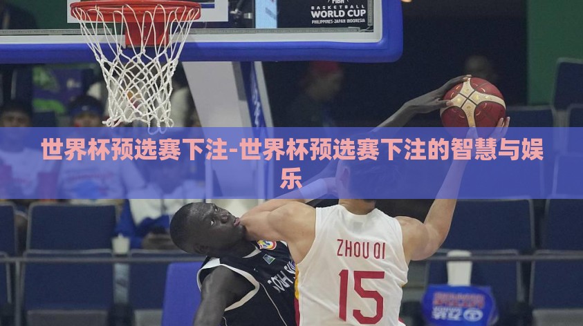 世界杯预选赛下注-世界杯预选赛下注的智慧与娱乐