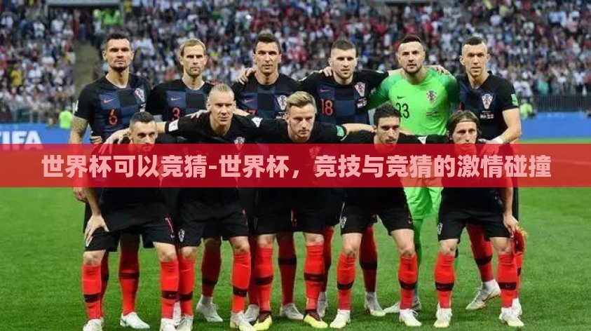 世界杯可以竞猜-世界杯，竞技与竞猜的激情碰撞
