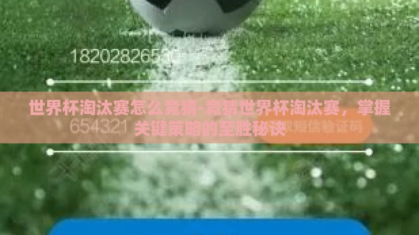 世界杯淘汰赛怎么竞猜-竞猜世界杯淘汰赛，掌握关键策略的至胜秘诀