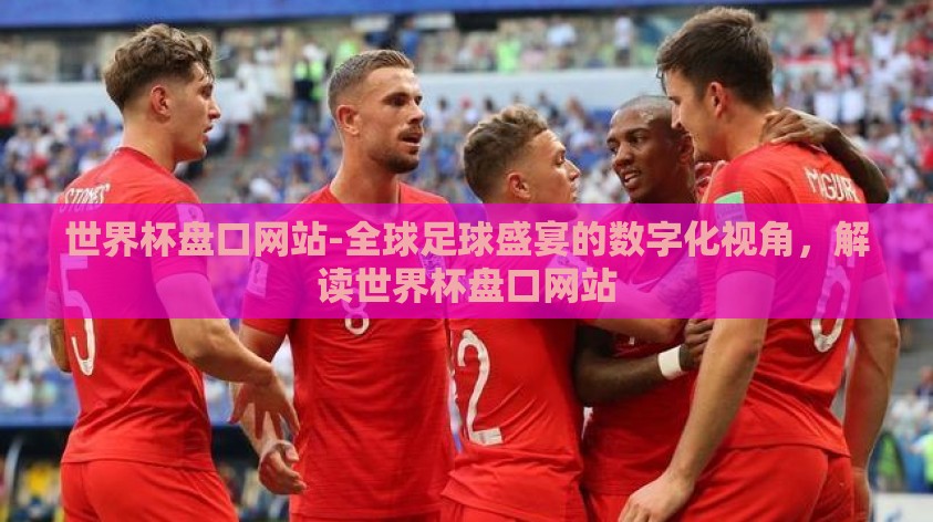 世界杯盘口网站-全球足球盛宴的数字化视角，解读世界杯盘口网站