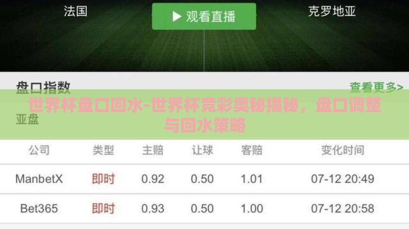 世界杯盘口回水-世界杯竞彩奥秘揭秘,盘口调整与回水策略 世界杯盘口回水-世界杯竞彩奥秘揭秘,盘口调整与回水策略