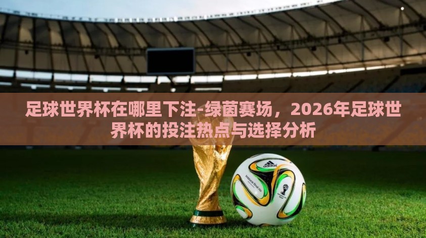 足球世界杯在哪里下注-绿茵赛场,2026年足球世界杯的投注热点与选择分析 足球世界杯在哪里下注-绿茵赛场,2026年足球世界杯的投注热点与选择分析