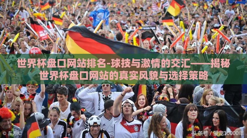 世界杯盘口网站排名-球技与激情的交汇——揭秘世界杯盘口网站的真实风貌与选择策略