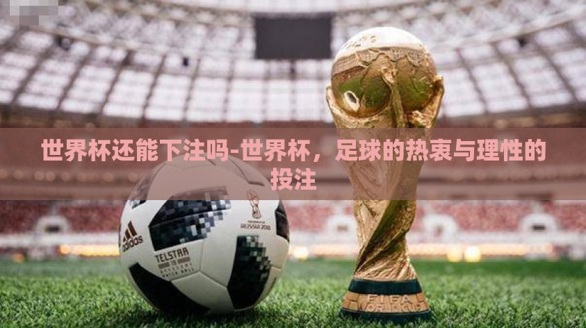 世界杯还能下注吗-世界杯,足球的热衷与理性的投注 世界杯还能下注吗-世界杯,足球的热衷与理性的投注