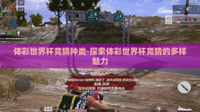 体彩世界杯竞猜种类-探索体彩世界杯竞猜的多样魅力 体彩世界杯竞猜种类-探索体彩世界杯竞猜的多样魅力