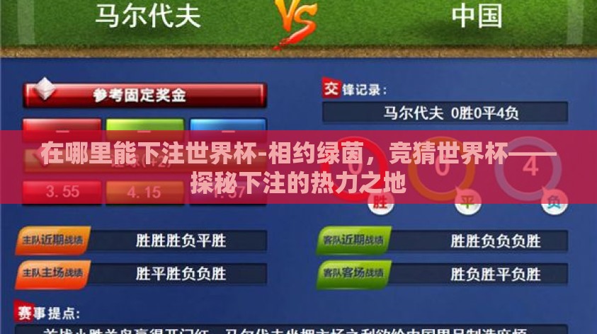 在哪里能下注世界杯-相约绿茵,竞猜世界杯——探秘下注的热力之地 在哪里能下注世界杯-相约绿茵,竞猜世界杯——探秘下注的热力之地