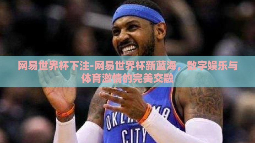 网易世界杯下注-网易世界杯新蓝海，数字娱乐与体育激情的完美交融