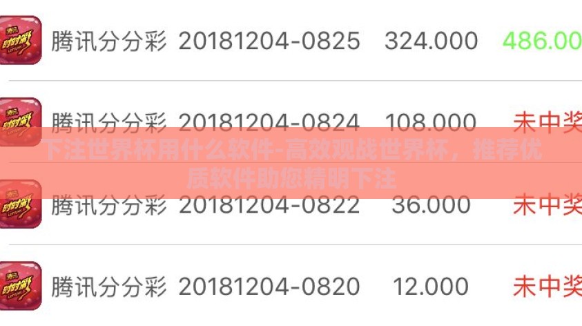 下注世界杯用什么软件-高效观战世界杯，推荐优质软件助您精明下注