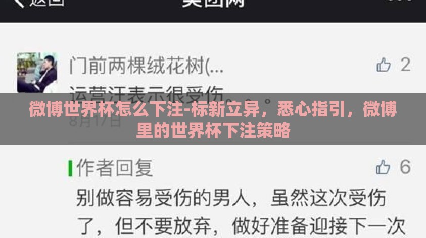 微博世界杯怎么下注-标新立异,悉心指引,微博里的世界杯下注策略 微博世界杯怎么下注-标新立异,悉心指引,微博里的世界杯下注策略