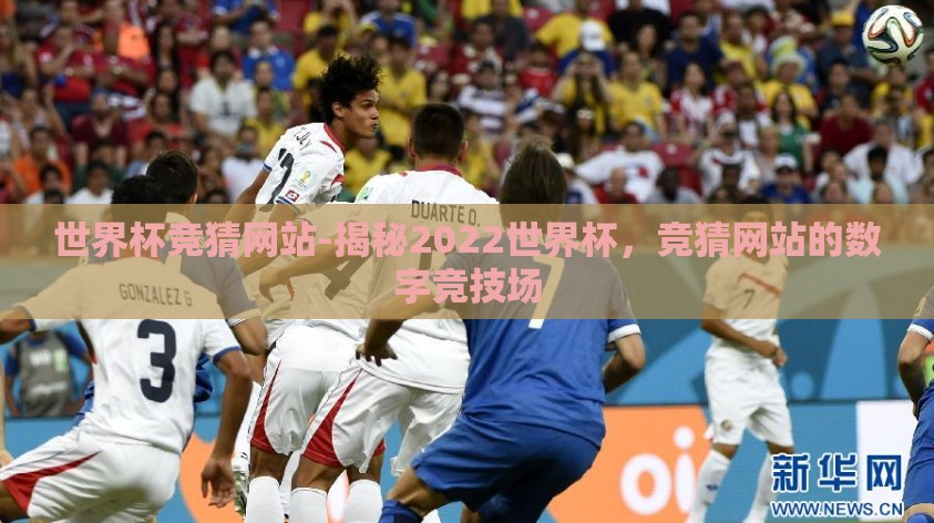 世界杯竞猜网站-揭秘2022世界杯，竞猜网站的数字竞技场