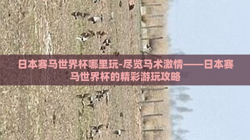 日本赛马世界杯哪里玩-尽览马术激情——日本赛马世界杯的精彩游玩攻略 日本赛马世界杯哪里玩-尽览马术激情——日本赛马世界杯的精彩游玩攻略