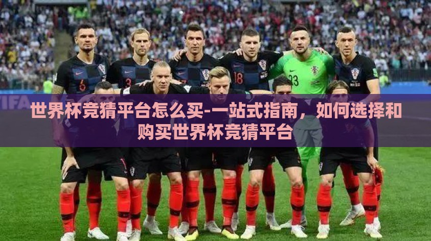 世界杯竞猜平台怎么买-一站式指南，如何选择和购买世界杯竞猜平台