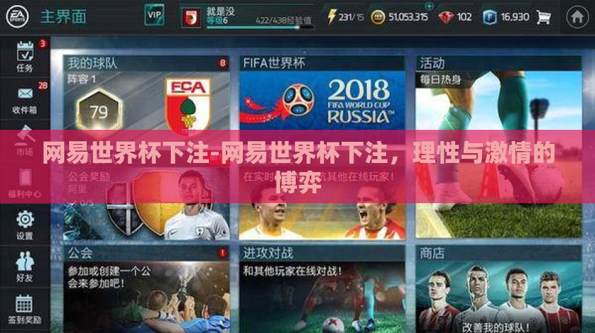 网易世界杯下注-网易世界杯下注，理性与激情的博弈