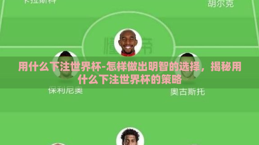 用什么下注世界杯-怎样做出明智的选择，揭秘用什么下注世界杯的策略