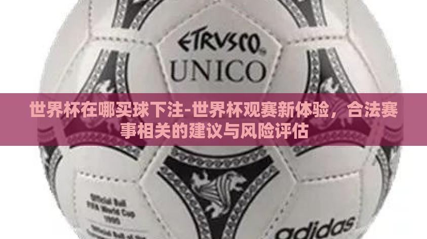 世界杯在哪买球下注-世界杯观赛新体验，合法赛事相关的建议与风险评估