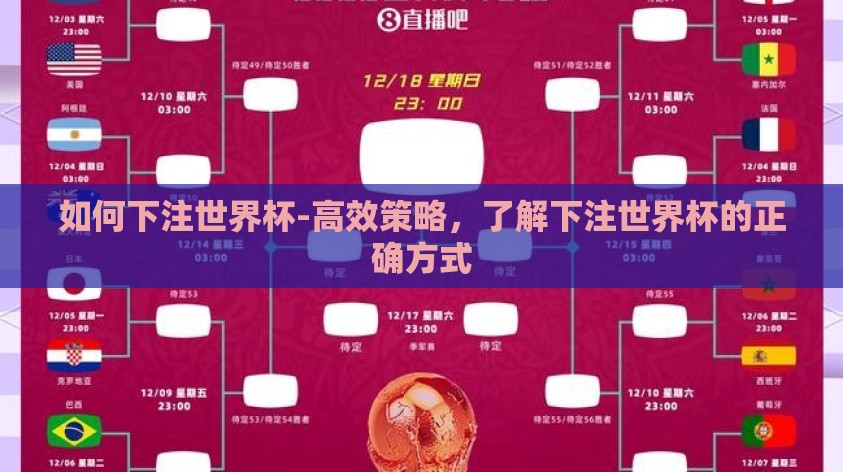 如何下注世界杯-高效策略，了解下注世界杯的正确方式