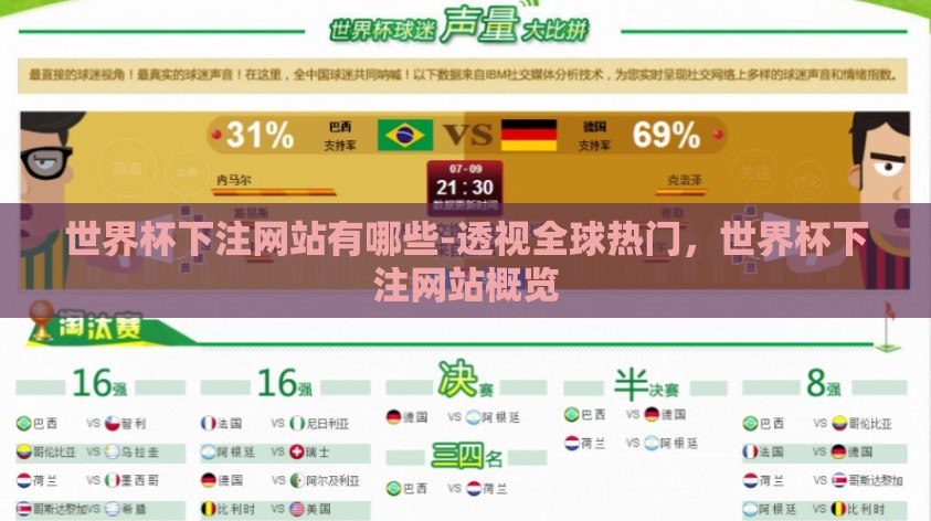 世界杯下注网站有哪些-透视全球热门,世界杯下注网站概览 世界杯下注网站有哪些-透视全球热门,世界杯下注网站概览