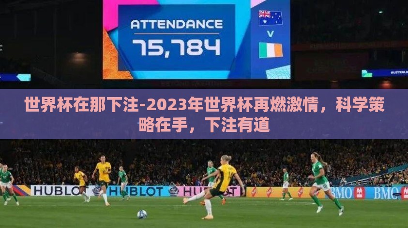 世界杯在那下注-2023年世界杯再燃激情，科学策略在手，下注有道