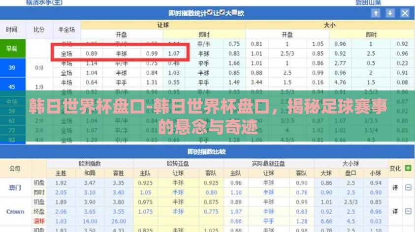 韩日世界杯盘口-韩日世界杯盘口，揭秘足球赛事的悬念与奇迹