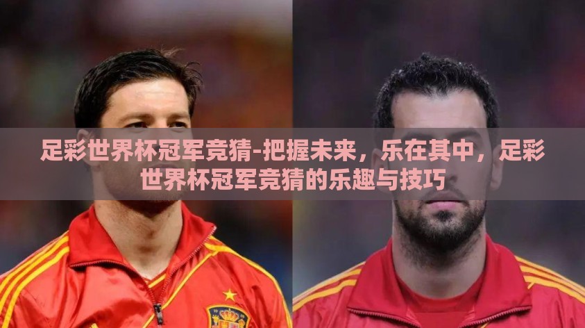 足彩世界杯冠军竞猜-把握未来，乐在其中，足彩世界杯冠军竞猜的乐趣与技巧