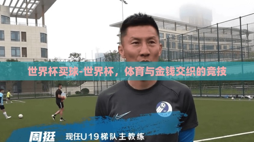世界杯买球-世界杯，体育与金钱交织的竞技