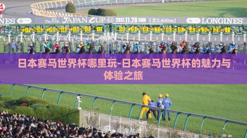 日本赛马世界杯哪里玩-日本赛马世界杯的魅力与体验之旅