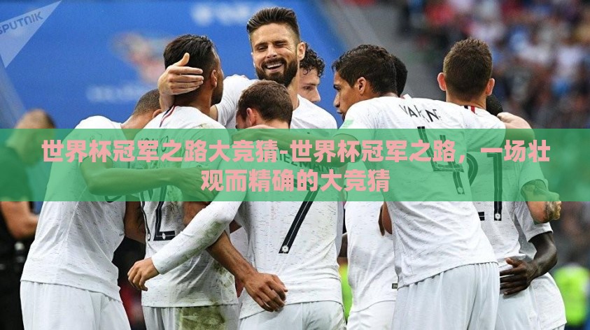 世界杯冠军之路大竞猜-世界杯冠军之路，一场壮观而精确的大竞猜