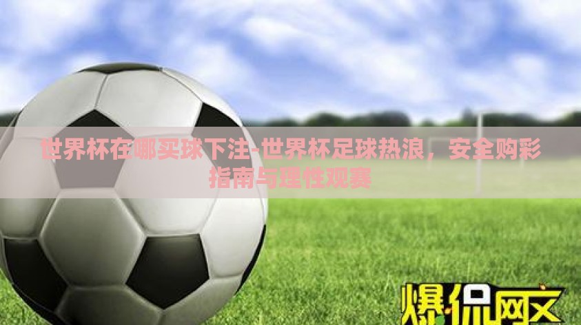 世界杯在哪买球下注-世界杯足球热浪，安全购彩指南与理性观赛