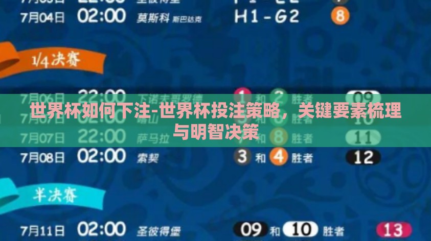 世界杯如何下注-世界杯投注策略，关键要素梳理与明智决策