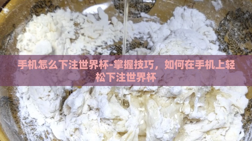 手机怎么下注世界杯-掌握技巧，如何在手机上轻松下注世界杯