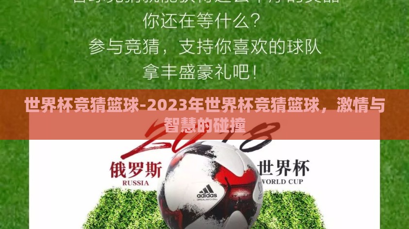 世界杯竞猜篮球-2023年世界杯竞猜篮球，激情与智慧的碰撞
