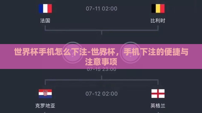 世界杯手机怎么下注-世界杯，手机下注的便捷与注意事项