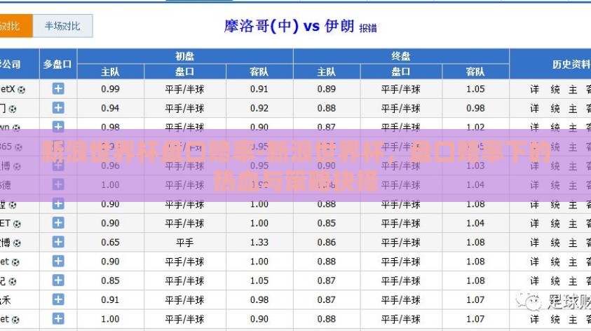 新浪世界杯盘口赔率-新浪世界杯，盘口赔率下的热血与策略抉择