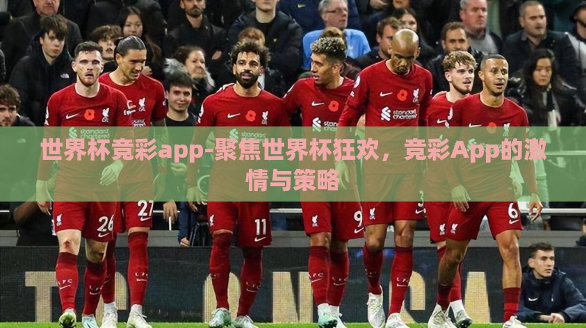 世界杯竞彩app-聚焦世界杯狂欢，竞彩App的激情与策略