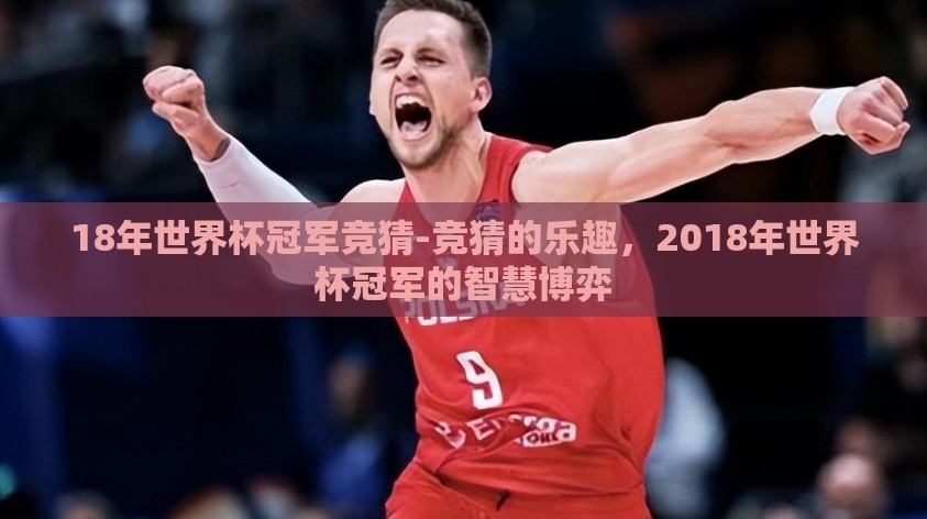 18年世界杯冠军竞猜-竞猜的乐趣，2018年世界杯冠军的智慧博弈