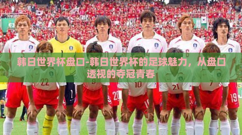 韩日世界杯盘口-韩日世界杯的足球魅力，从盘口透视的夺冠青春