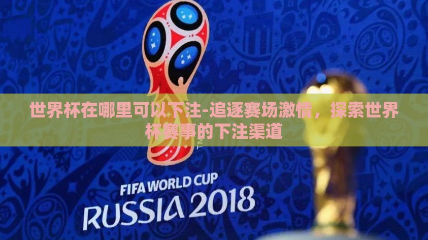 世界杯在哪里可以下注-追逐赛场激情，探索世界杯赛事的下注渠道