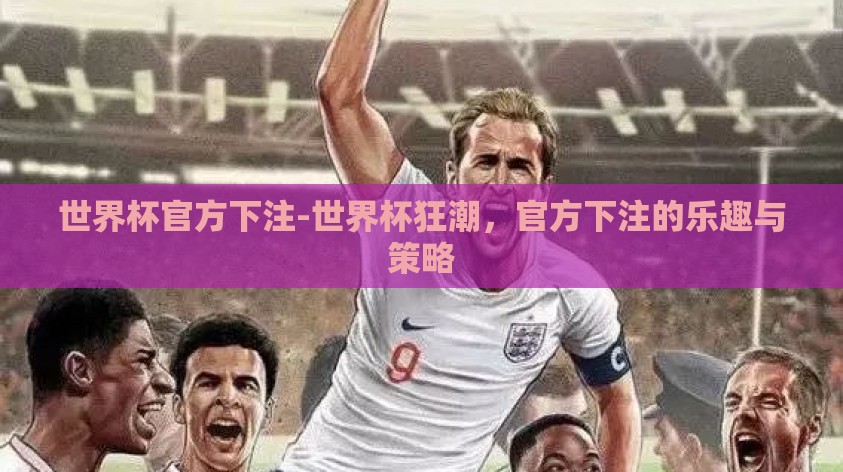 世界杯官方下注-世界杯狂潮，官方下注的乐趣与策略