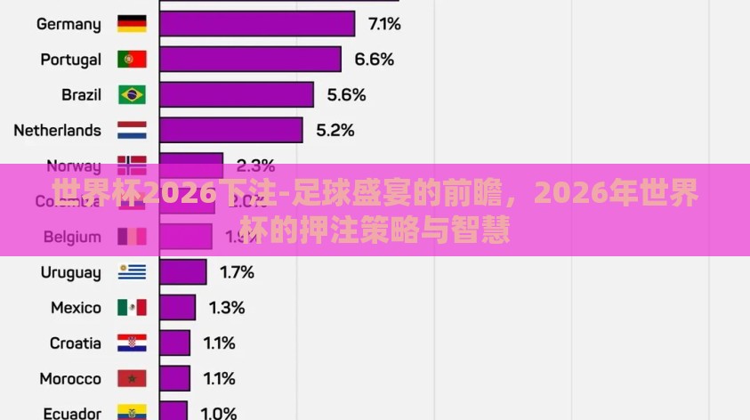 世界杯2026下注-足球盛宴的前瞻，2026年世界杯的押注策略与智慧