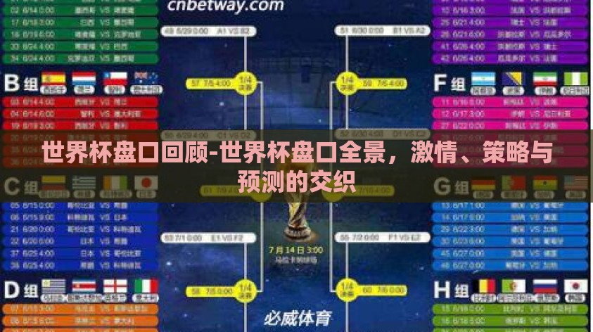 世界杯盘口回顾-世界杯盘口全景，激情、策略与预测的交织